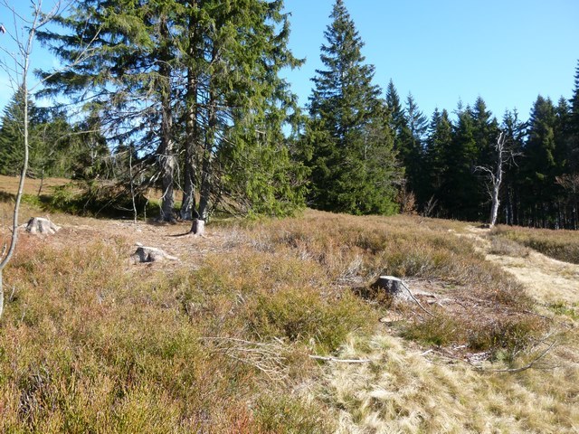 Hochschachten Buchenau